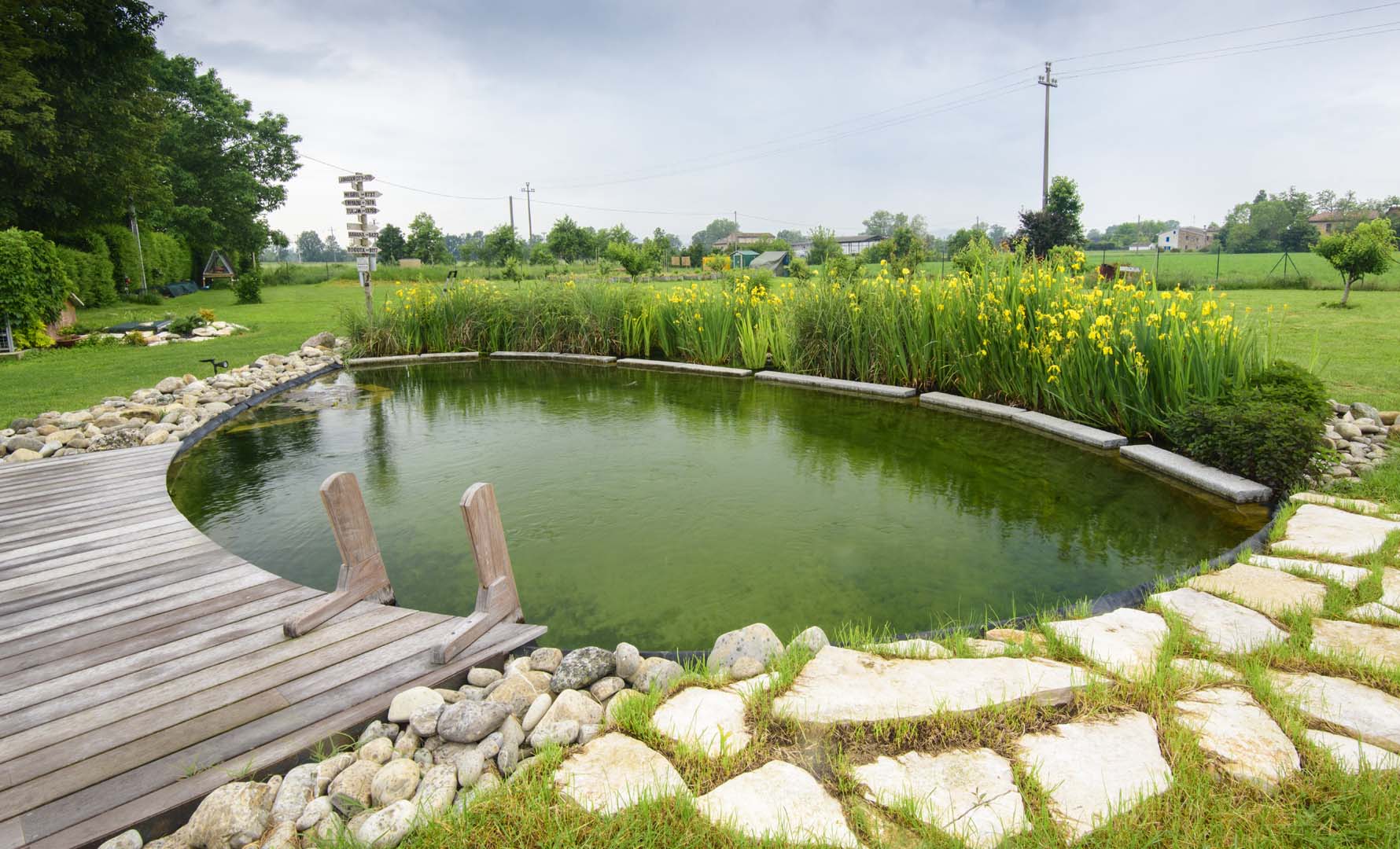 Biopiscina in agriuturismo a modena. La biopiscina è circondata dal verde e ha un ingresso con scaletta in legno.